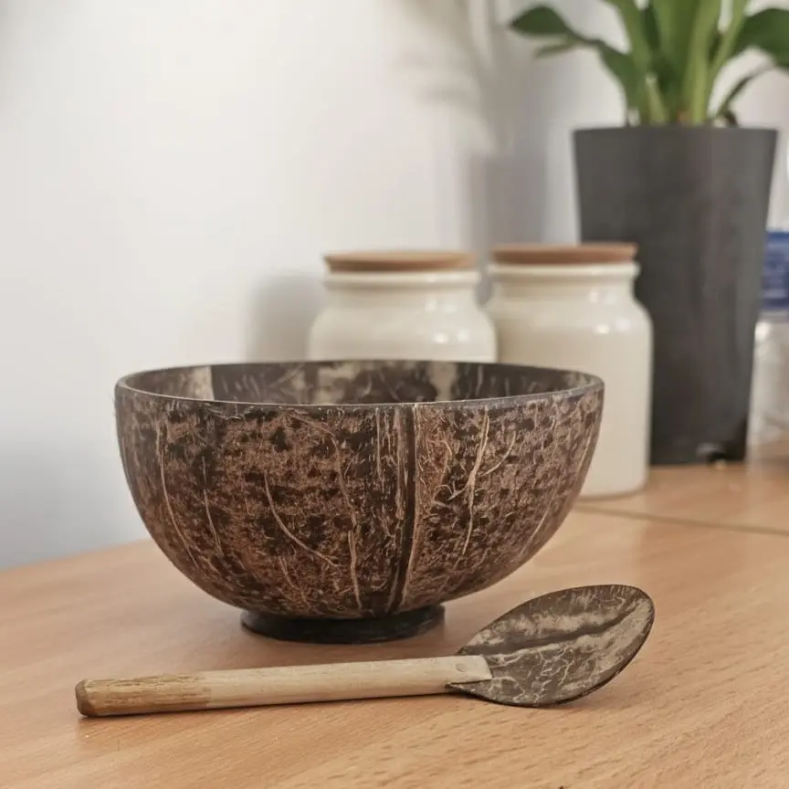 Plane Coconut Shell Cup & Spoon 